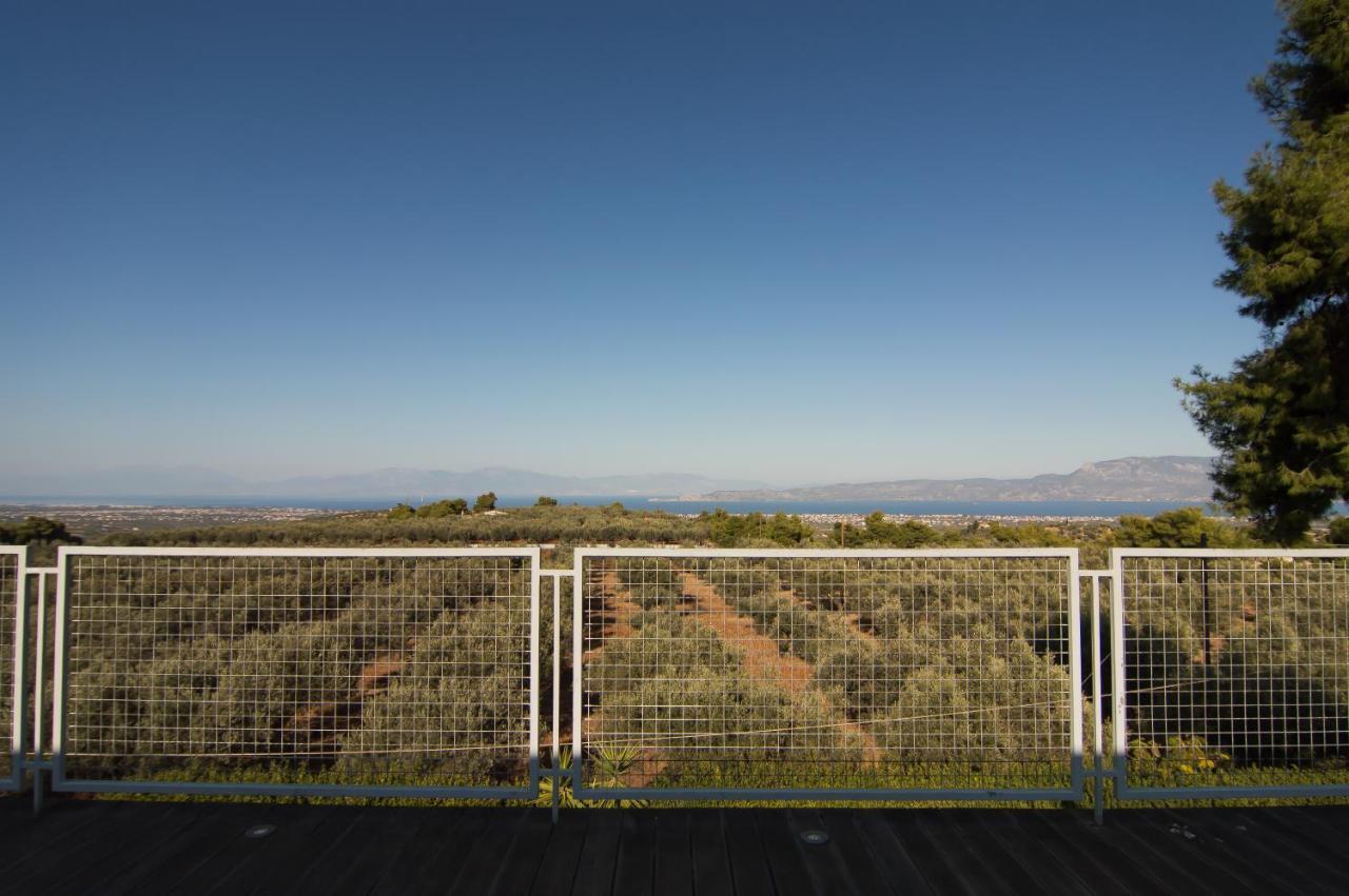 Country Villa Peloponnese With Tennis Court And Pool Zevgolateíon Exterior foto